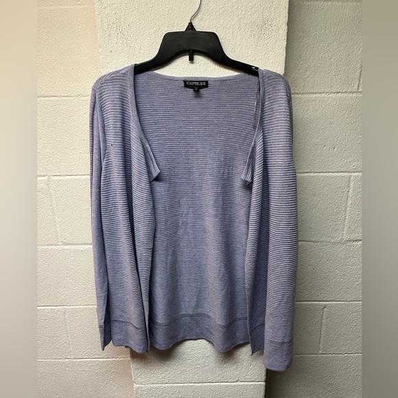 Express Sweaters - Express Lavender Knit Sweater